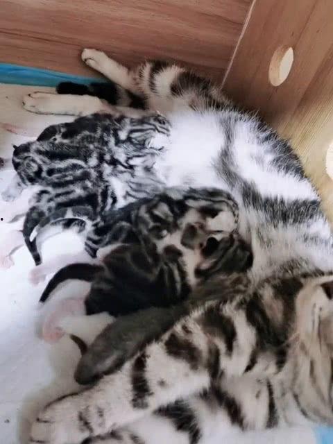 笑死吃瓜群众图片