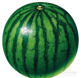 坐着吃瓜对身体,揭秘坐着吃瓜对身体的影响