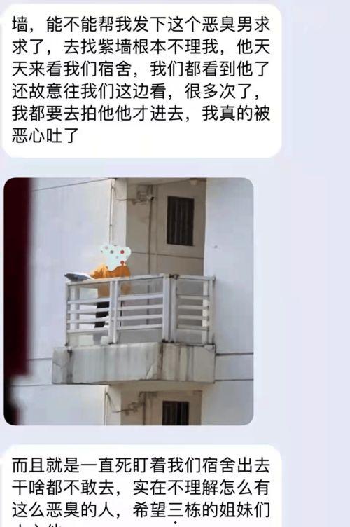 表白墙的吃瓜,揭秘表白墙上的甜蜜瓜果
