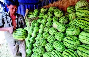 在城市里吃瓜,街头吃瓜，品味人间烟火气