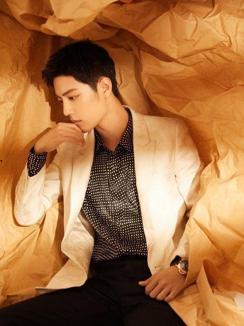 肖战说吃瓜,揭秘娱乐圈吃瓜背后的真相