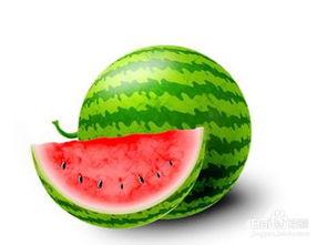 孕妇可以吃瓜园,瓜园佳肴，孕妇健康美食之旅